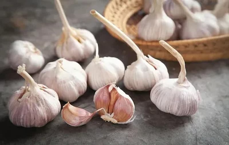 سیر فارس سفید طعم جنوب ایران و حبه‌ های مناسب